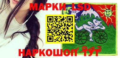 шишки Будённовск