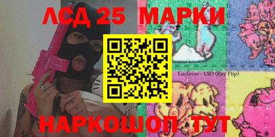шишки Будённовск