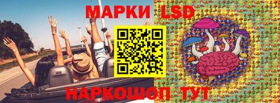 шишки Будённовск