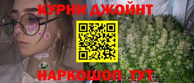 шишки Будённовск