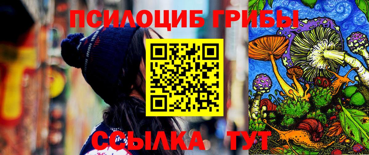 цена   Галлюциногенные грибы мицелий  Канск  Вход с VPN  Галлюциногенные грибы GOLDEN TEACHER 