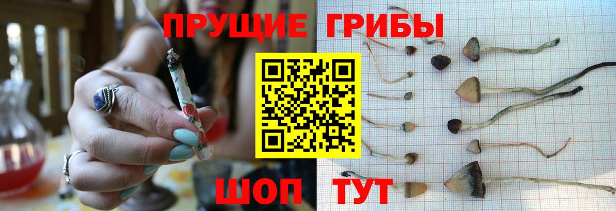 Галлюциногенные грибы мухоморы Канск